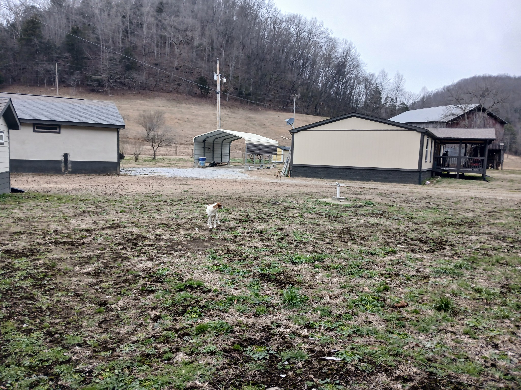 655 Wilmore Hollow Road Pleasant Shade, TN 37145 - Photo 31 of 47 a view of a house with a yard and sitting area