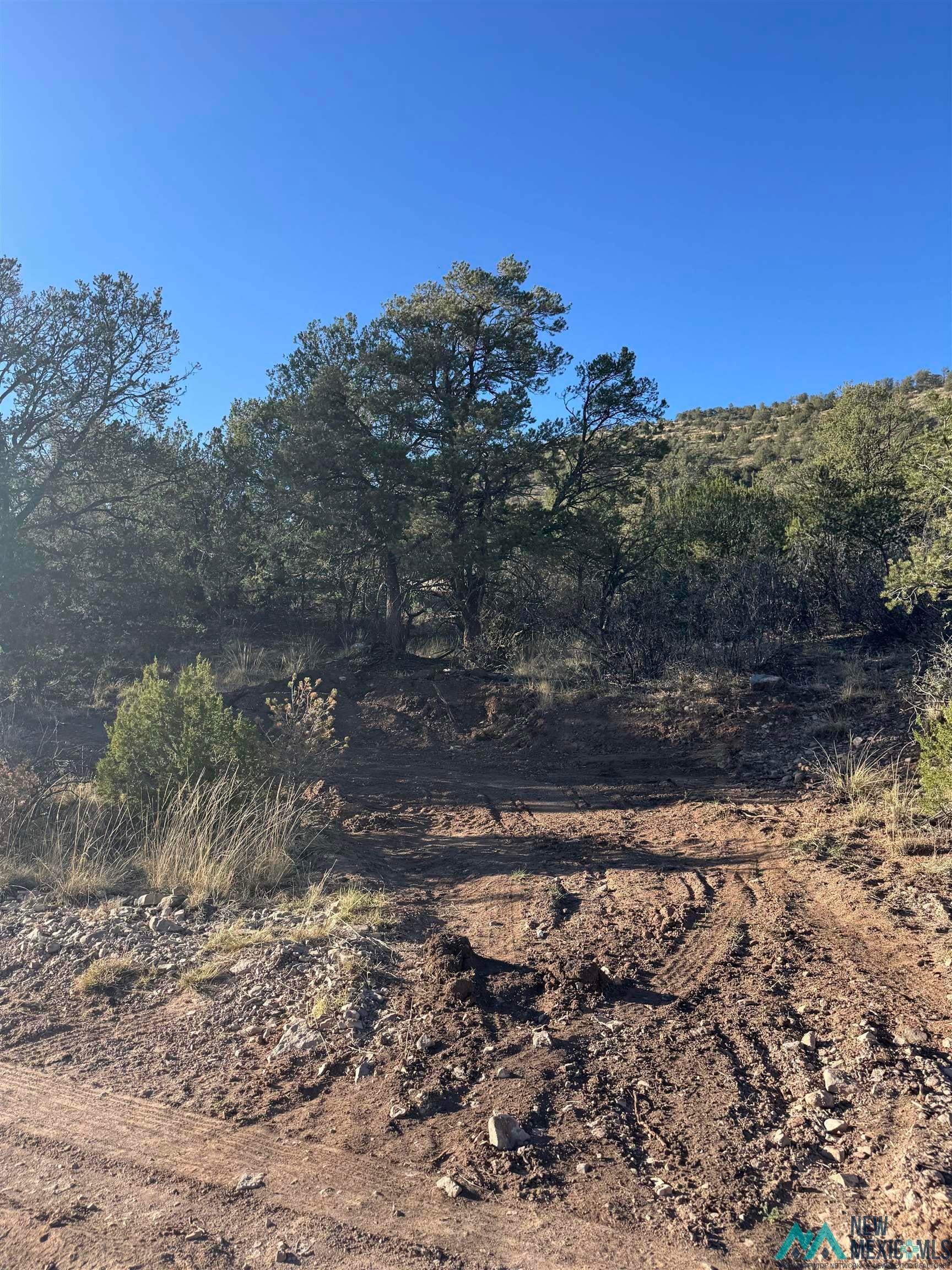 Lot 80 Longfellow Road Timberon, NM 88350 - Photo 7 of 7 View of nature