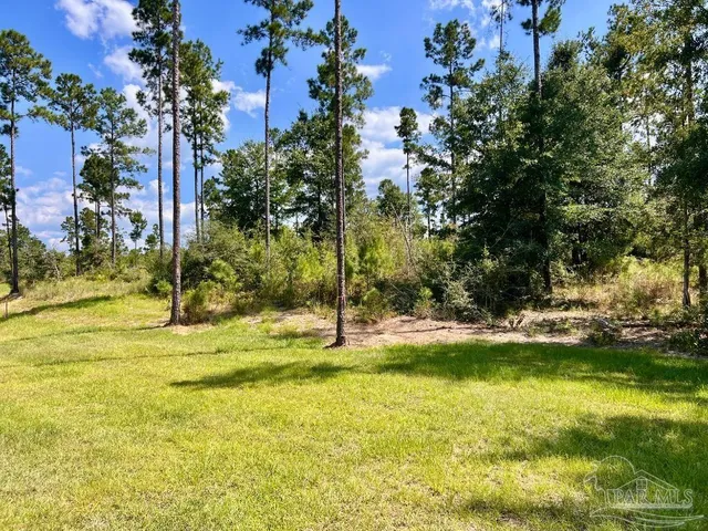 $240,000 | Lot 33 Morgans Branch, Molino, FL 32577