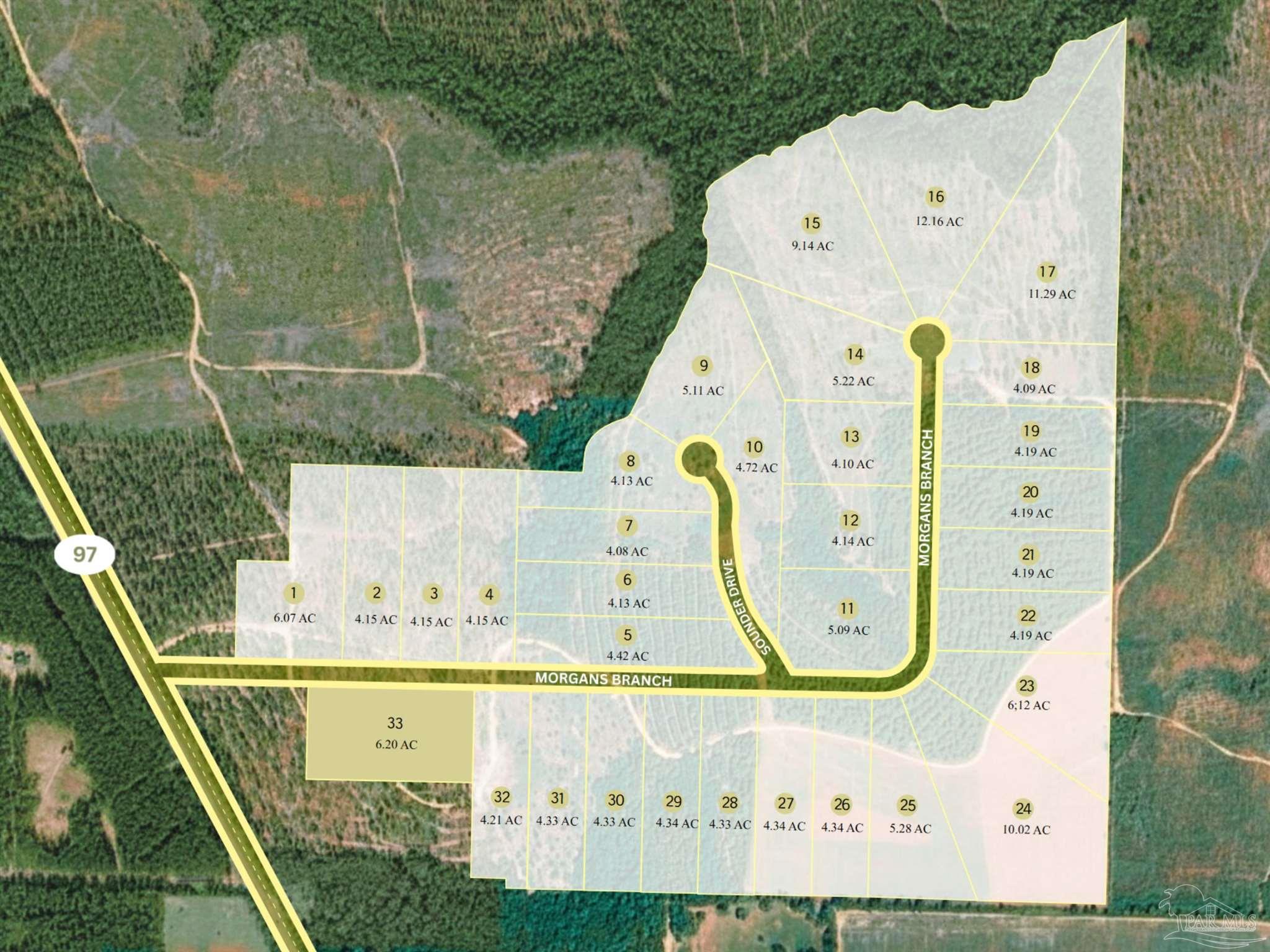 Lot 33 Morgans Branch Molino, FL 32577 - Photo 4 of 11