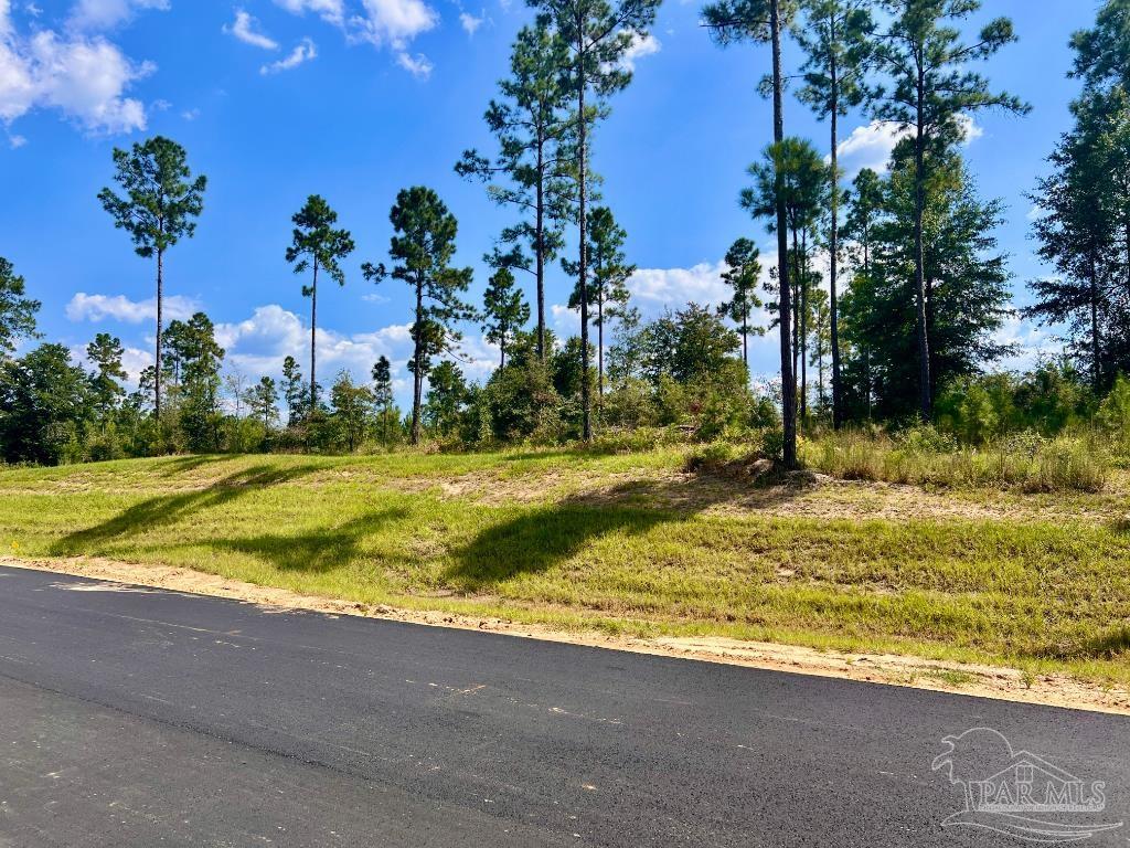 Lot 33 Morgans Branch Molino, FL 32577 - Photo 8 of 11