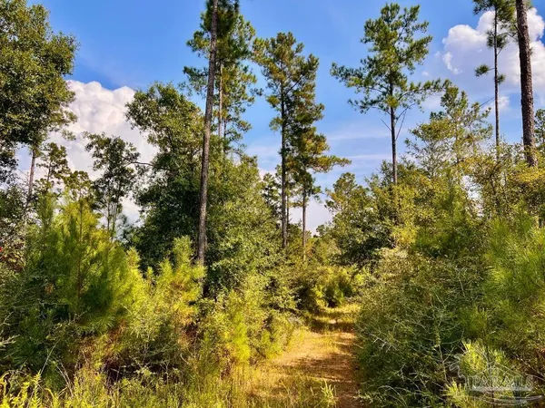 $240,000 | Lot 33 Morgans Branch, Molino, FL 32577