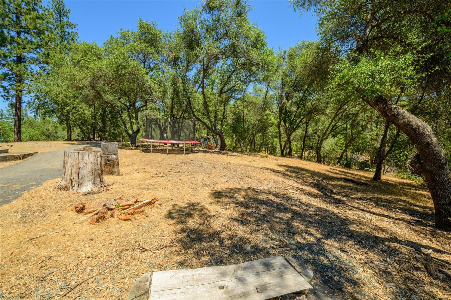 1410 Sand Ridge Road El Dorado, CA 95623 - Photo 37 of 51