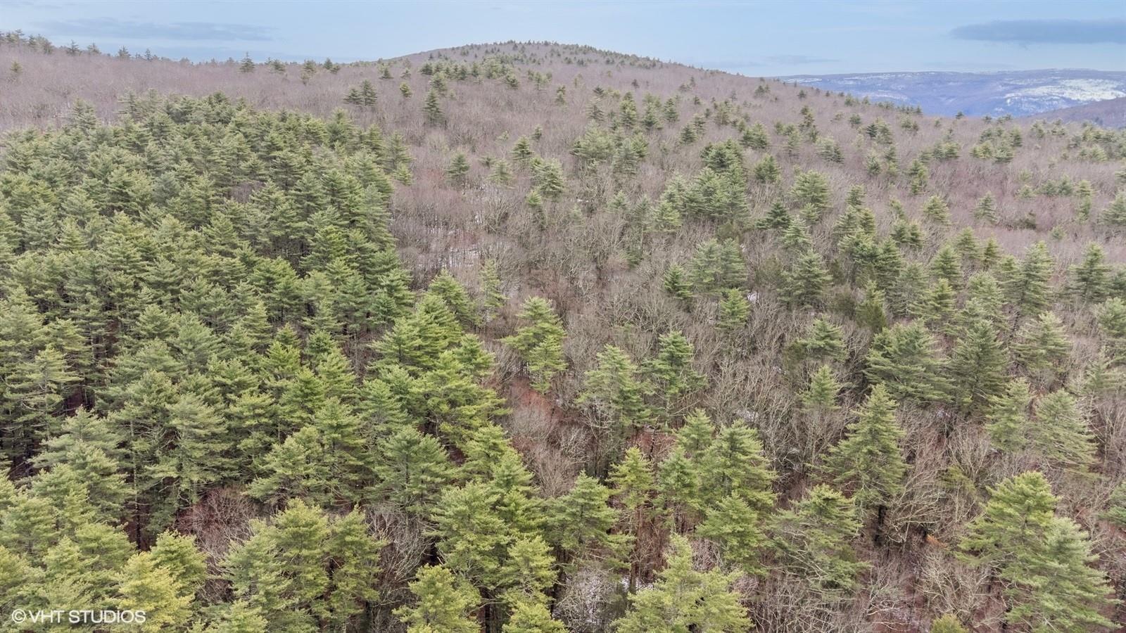 736 State Rte 55 Napanoch, NY 12458 - Photo 41 of 49 a view of a dry yard with mountains in the background