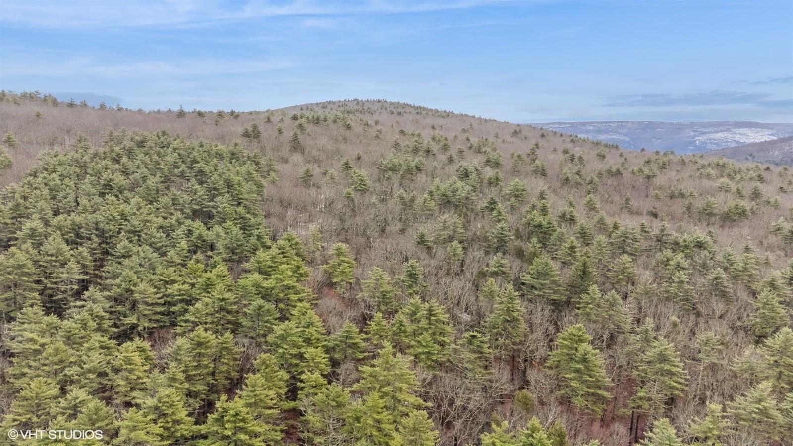 736 State Rte 55 Napanoch, NY 12458 - Photo 42 of 49 a view of a dry yard with mountains in the background