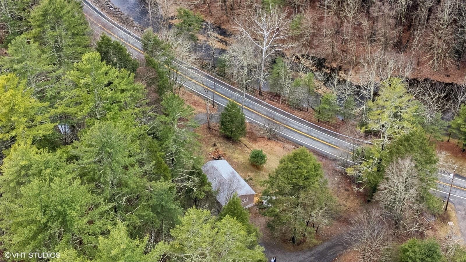 736 State Rte 55 Napanoch, NY 12458 - Photo 45 of 49 a close up of a plant in a garden