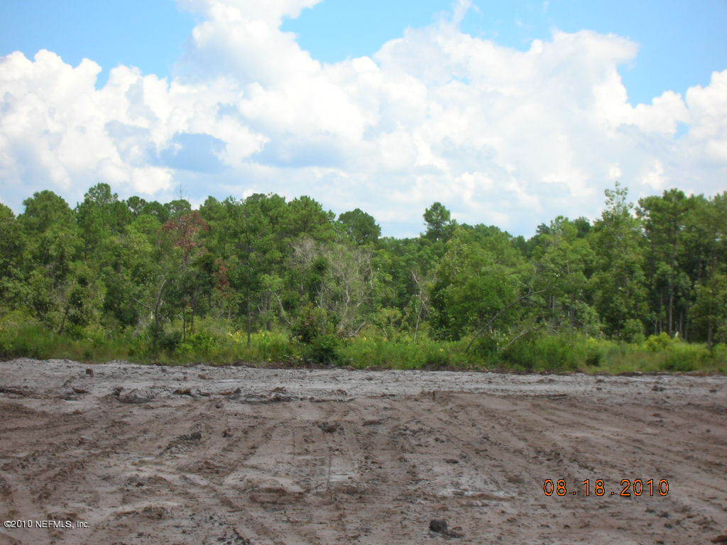 180 Pettit Road Crescent City, FL 32112 - Photo 3 of 9 Lovely trees on back half of land
