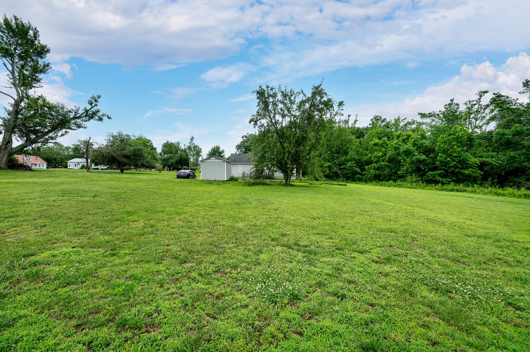 2995 Oak Grove Church Road Bethpage, TN 37022 - Photo 21 of 28 a view of a grassy field with trees in the background