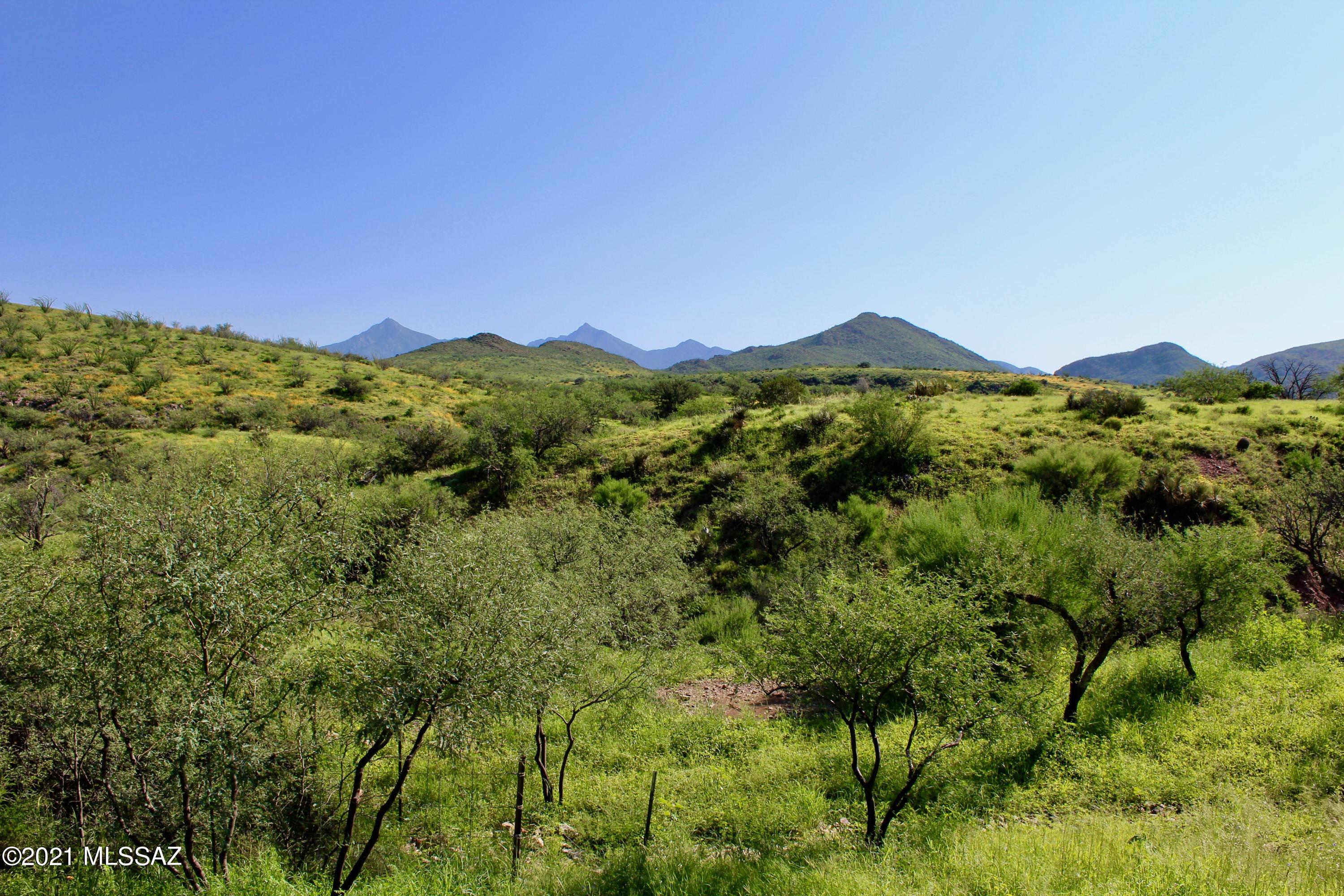 130 Canyon Pass Court Rio Rico, AZ 85648 - Photo 41 of 50 Gallery Image 41