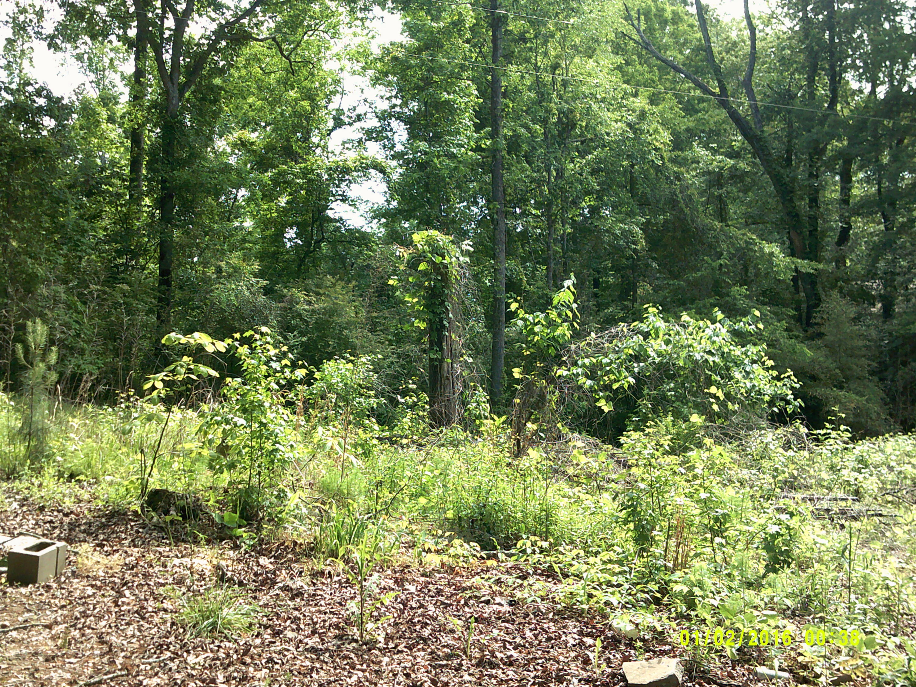 75 Marylee Road Jasper, AL 35504 - Photo 2 of 2 Gallery Image 2