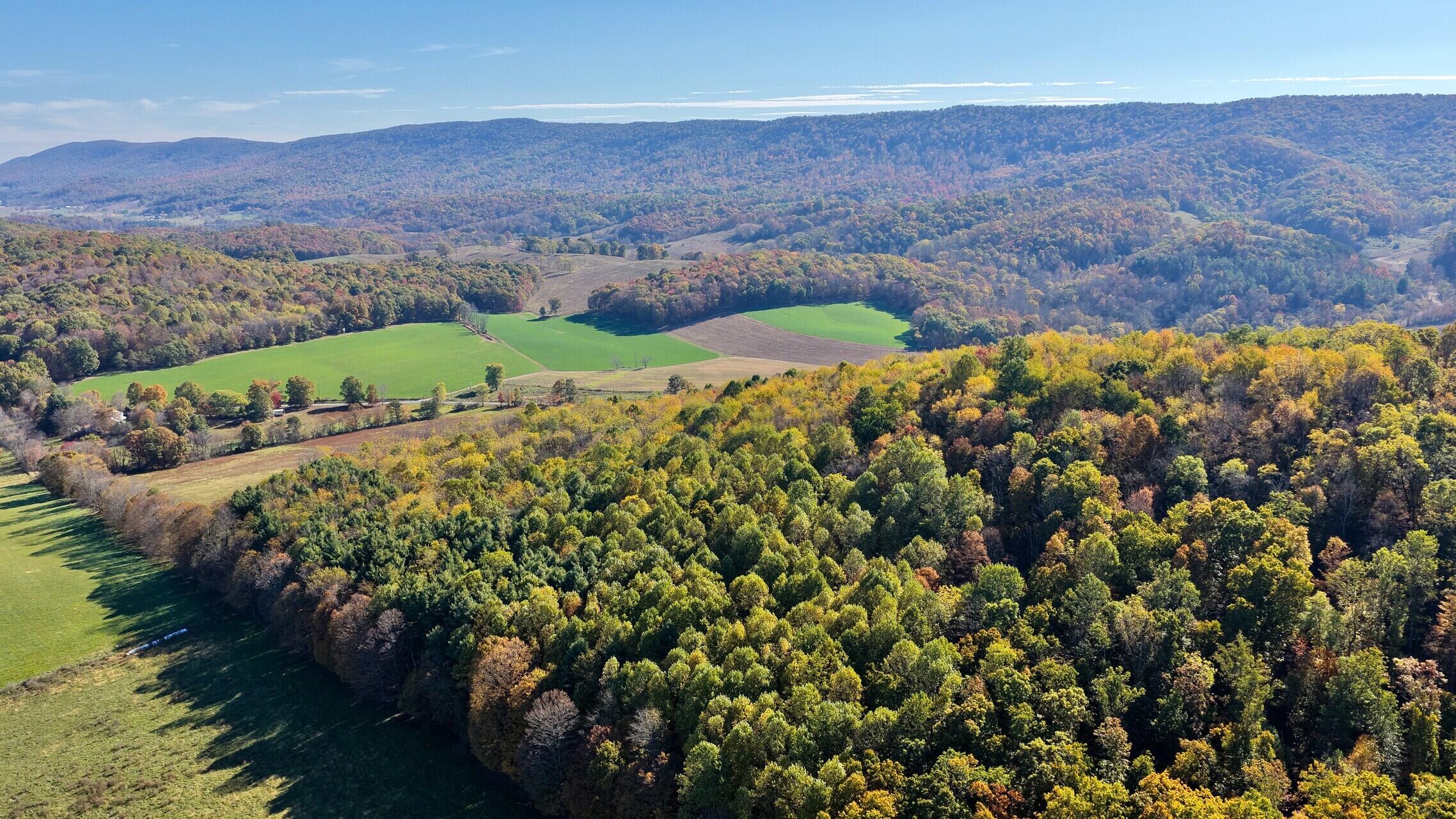 2114 Zenith Road Gap Mills, WV 24941 - Photo 72 of 80 Gallery Image 72