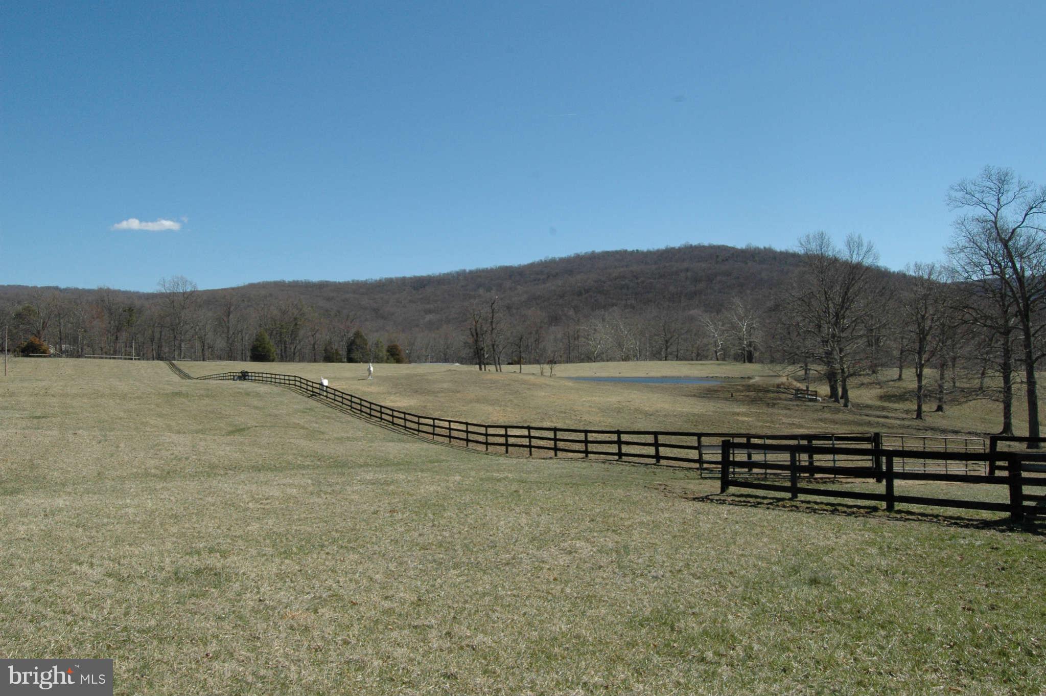 1142 Frogtown Road Bluemont, VA 20135 - Photo 11 of 13 View