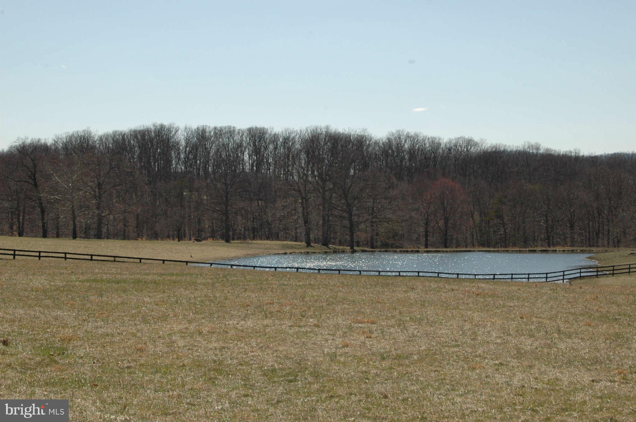 1142 Frogtown Road Bluemont, VA 20135 - Photo 12 of 13 Pond