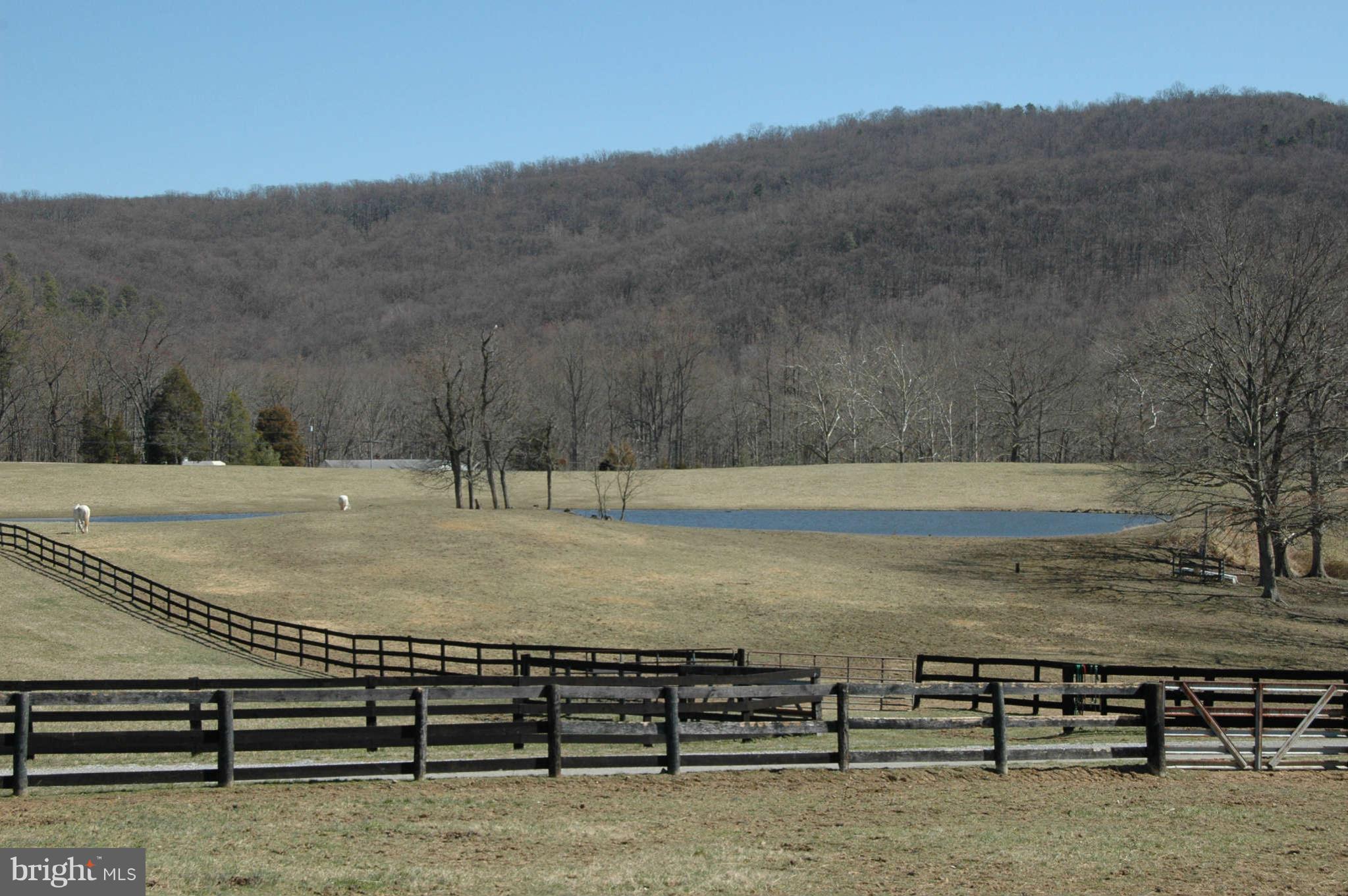 1142 Frogtown Road Bluemont, VA 20135 - Photo 13 of 13 View