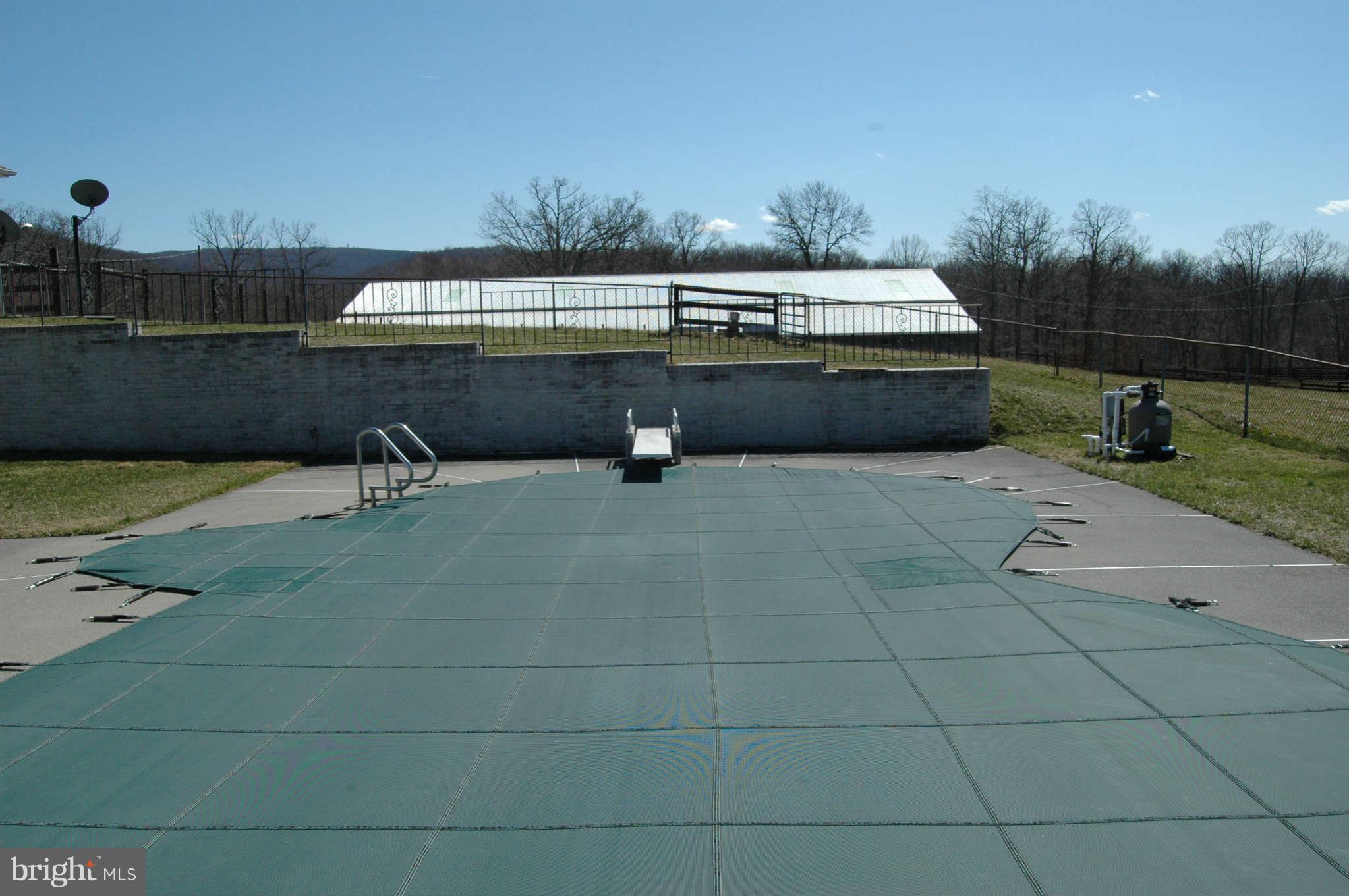 1142 Frogtown Road Bluemont, VA 20135 - Photo 5 of 13 Inground Pool