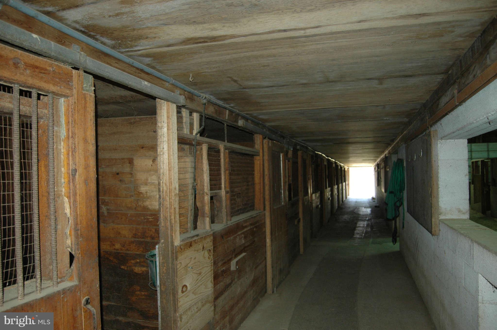 1142 Frogtown Road Bluemont, VA 20135 - Photo 7 of 13 Stalls