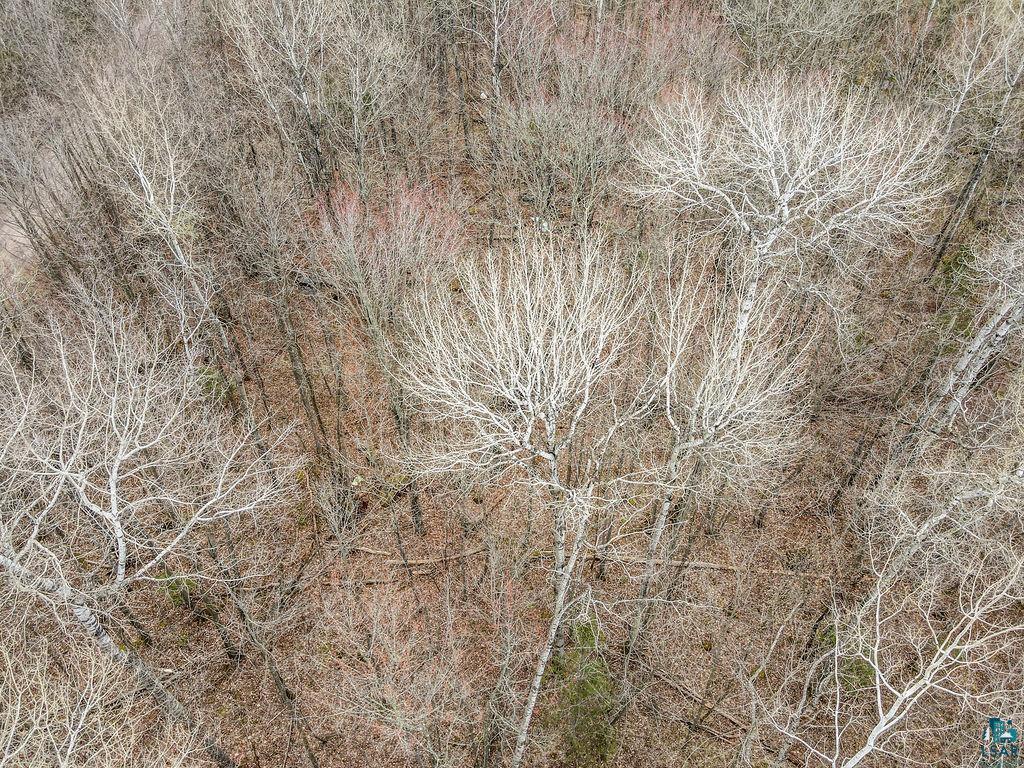 Xxx Stark Road Cloquet, MN 55720 - Photo 7 of 13
