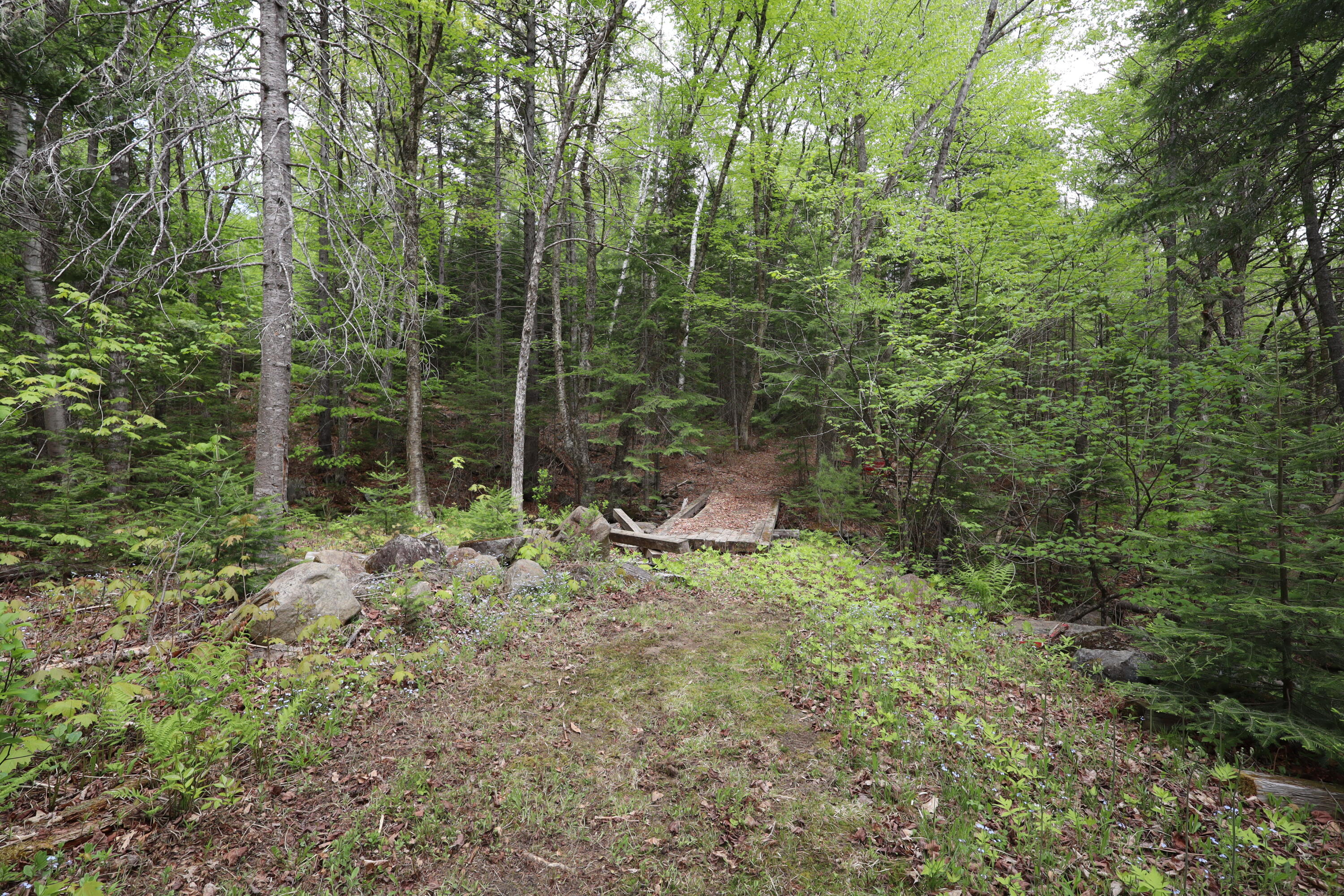 198 Scammon Road Greenville, ME 04441 - Photo 22 of 26 IMG_2322