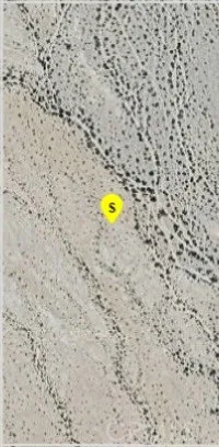 a view of a pathway with a yard