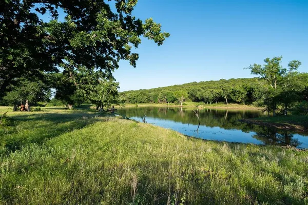 a view of a lake with a yard and large trees