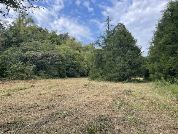 $690,000 | 0 McBurg Dellrose Road, Dellrose, TN 38453