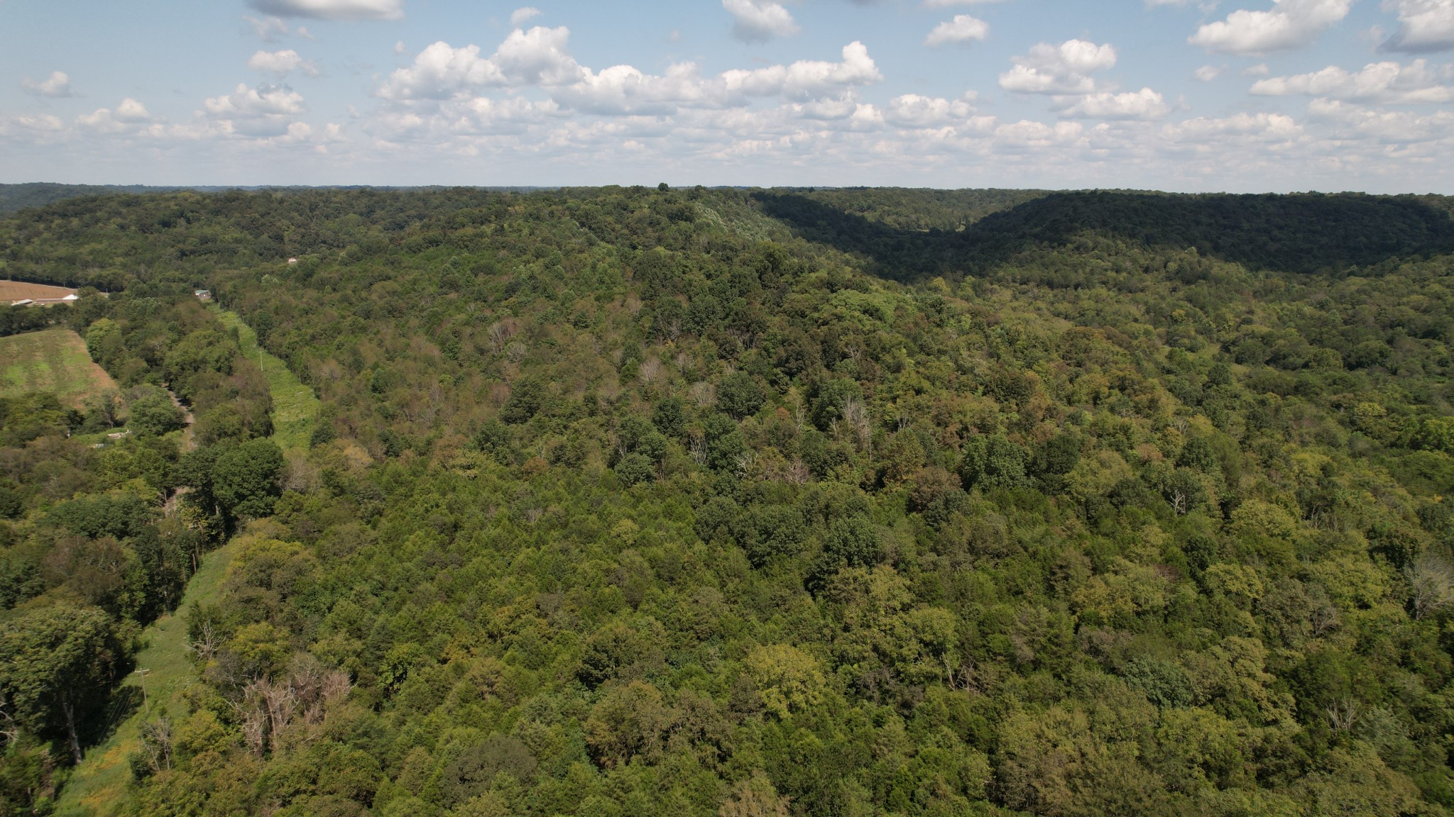 0 McBurg Dellrose Road Dellrose, TN 38453 - Photo 5 of 11