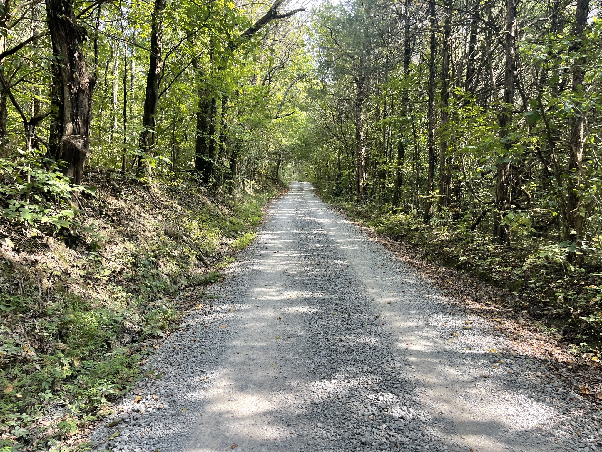 0 McBurg Dellrose Road Dellrose, TN 38453 - Photo 6 of 11