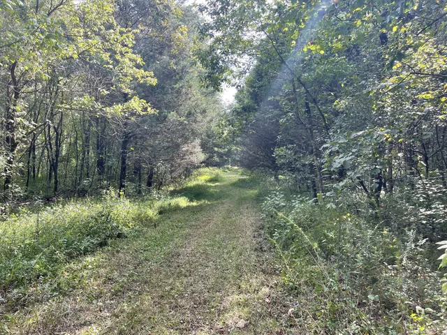 $690,000 | 0 McBurg Dellrose Road, Dellrose, TN 38453