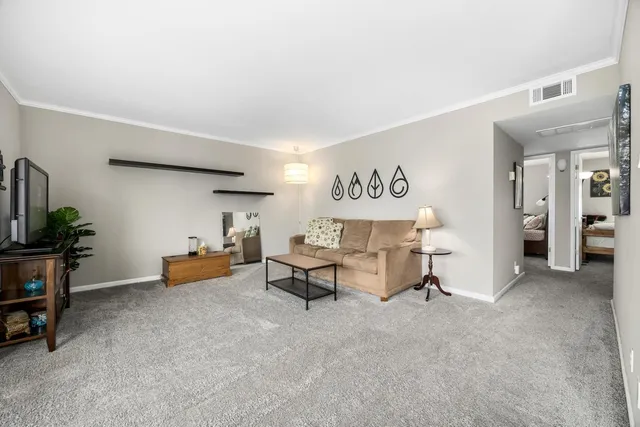 a bed room with furniture and a potted plant