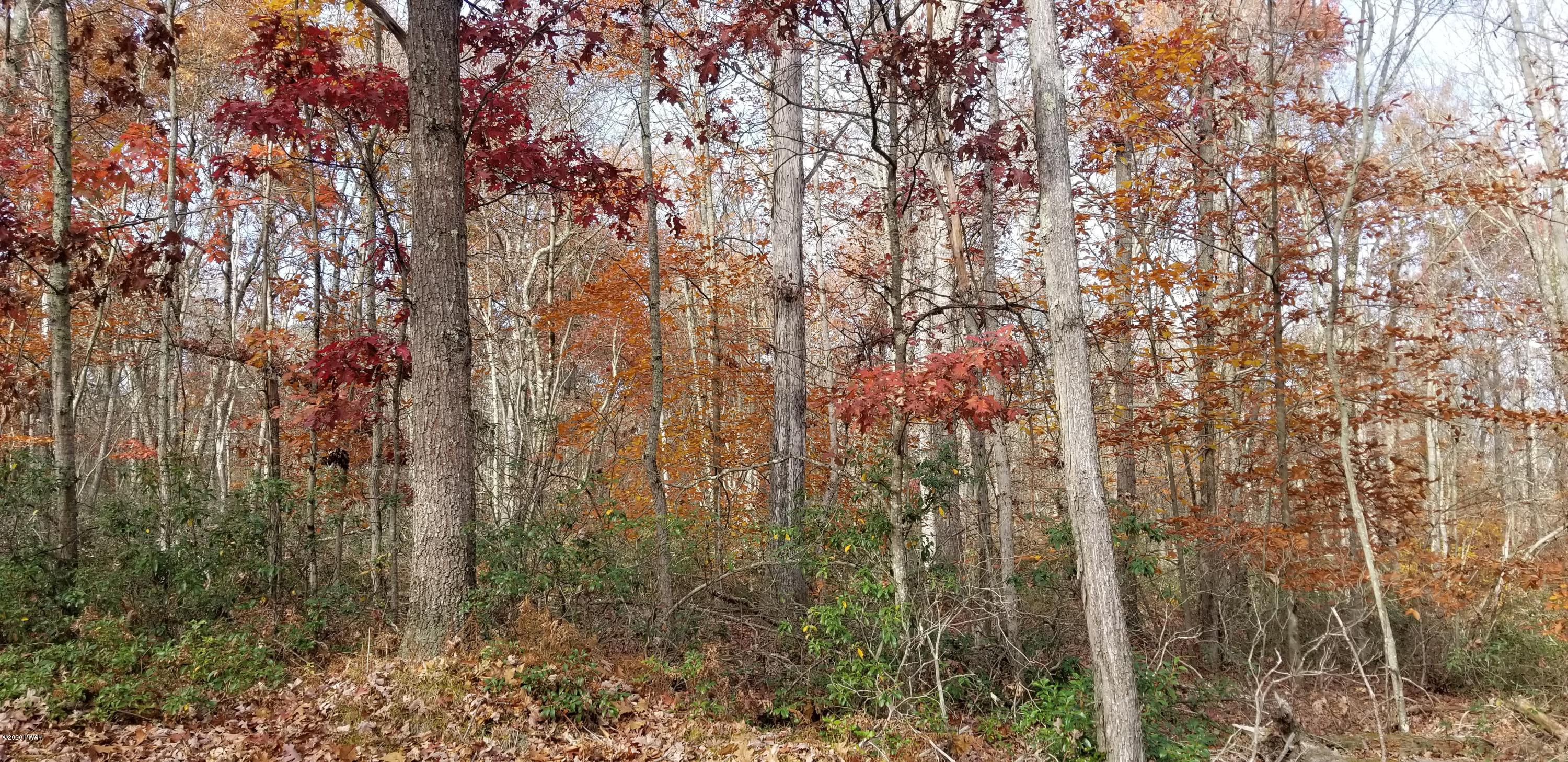 20201025_143506
