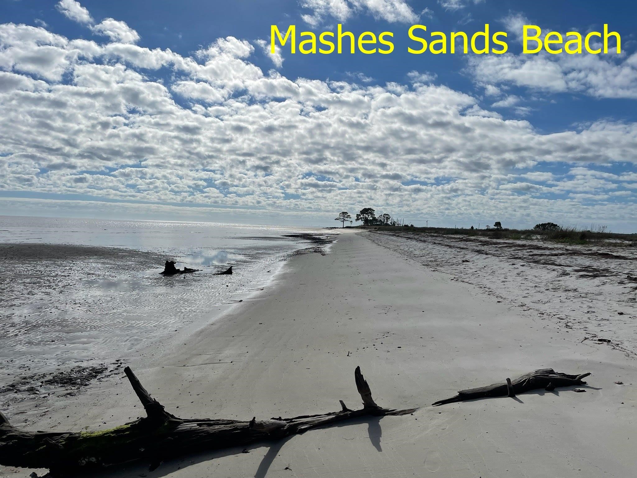 562 Mashes Sands Road Panacea, FL 32346 - Photo 31 of 33