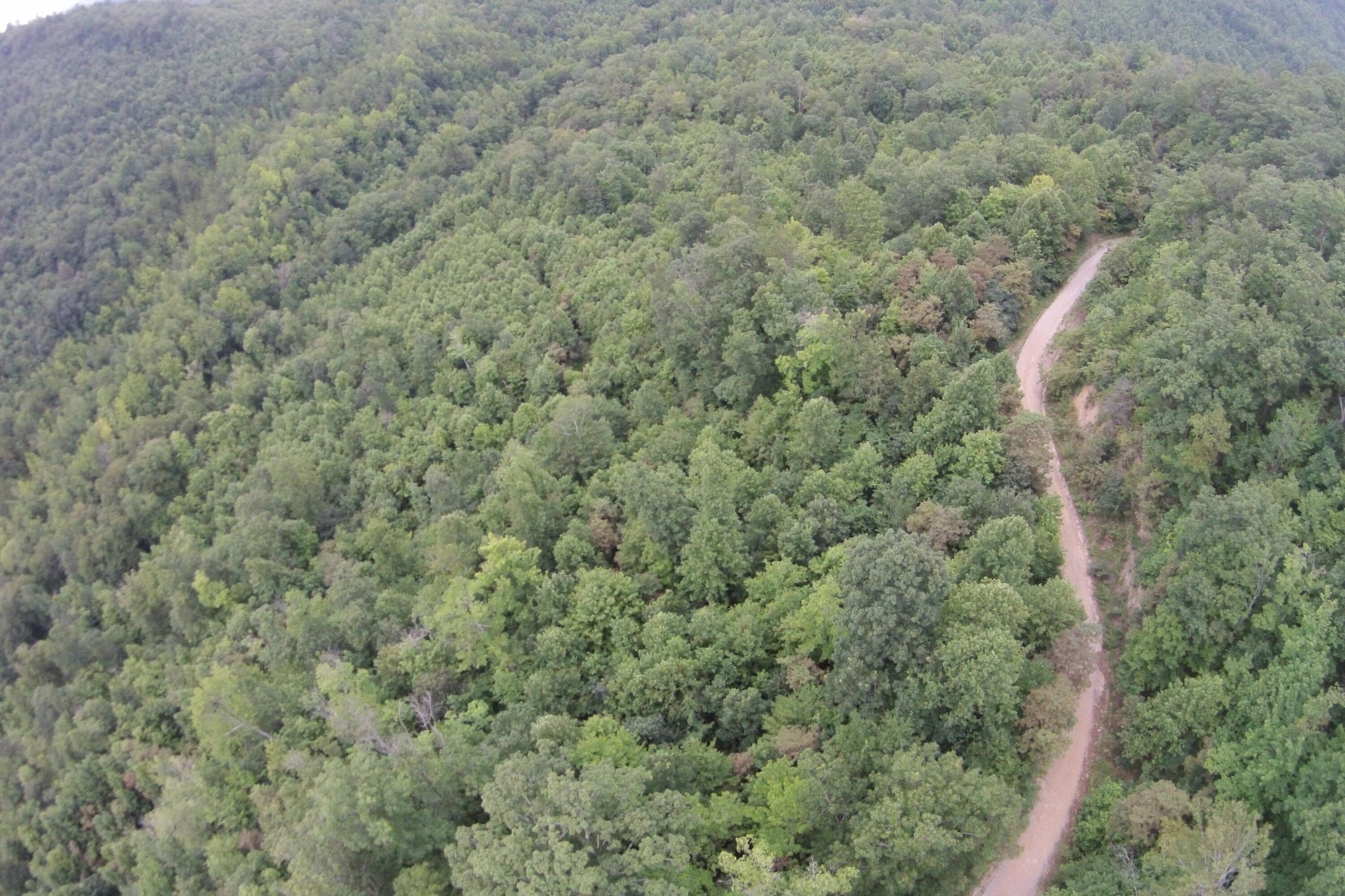 2 Straight Fork Road, Unit TRACT 2 Huntsville, TN 37756 - Photo 9 of 13 Tract 2 Roads (1)