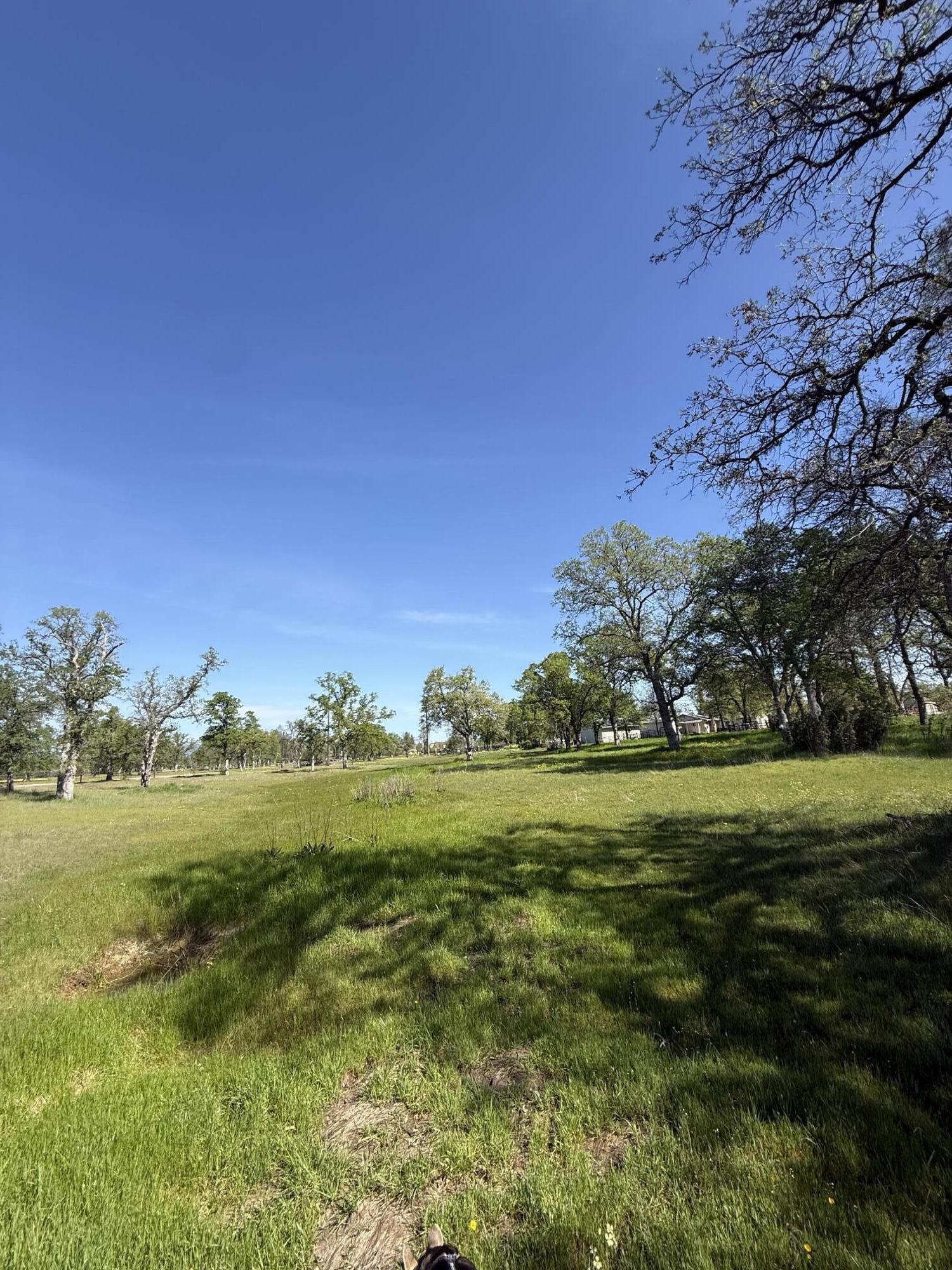 21752 Hidden Acres Road Bella Vista, CA 96003 - Photo 7 of 12 IMG_0306