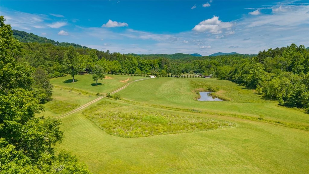 5260 Hardscrabble Road Mineral Bluff, GA 30559 - Photo 12 of 52