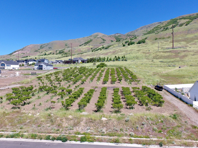 1985 South 100 West, Unit 16 Perry, UT 84302 - Photo 5 of 7 Elevated property featuring tiered rows of mature trees and a substantial green hillside backdrop