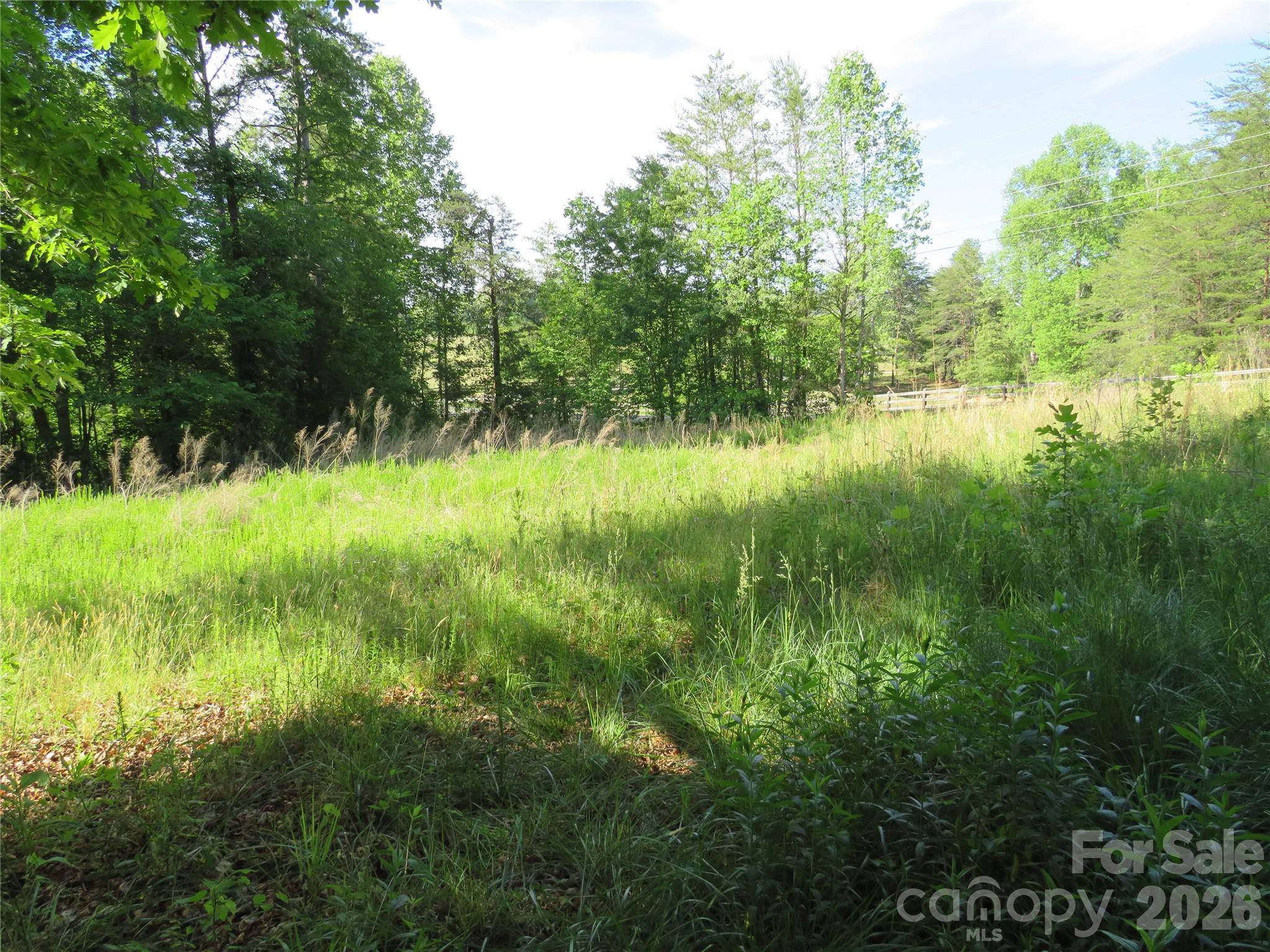 0 Blue Sapphire Lane Rutherfordton, NC 28139 - Photo 17 of 25