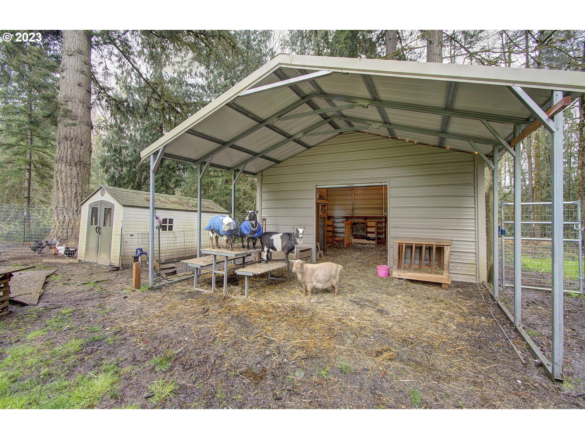 13025 Northeast Prairie Road Brush Prairie, WA 98606 - Photo 45 of 47 a view of a house with backyard