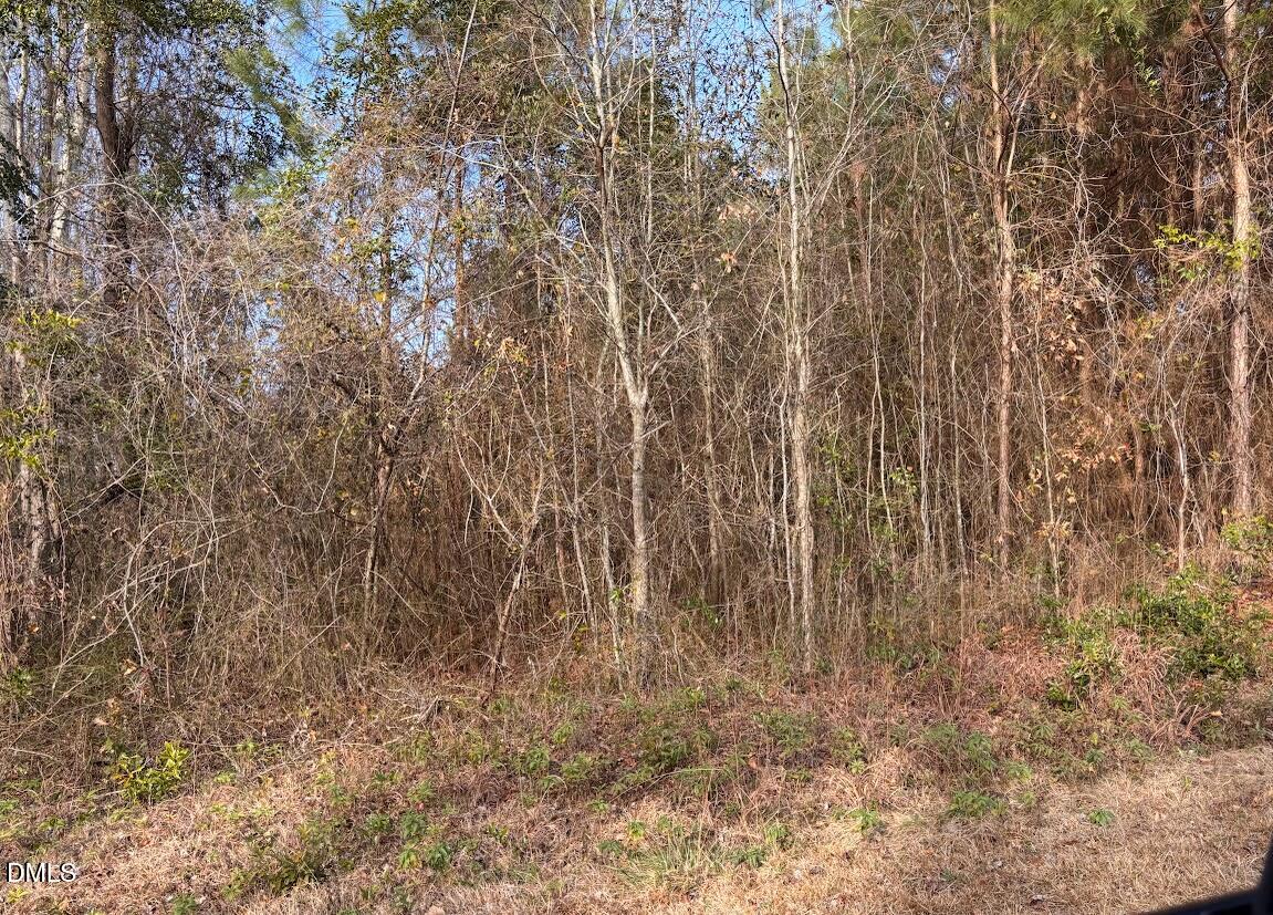 0 Watson Graveyard Road Clarkton, NC 28433 - Photo 1 of 5 1