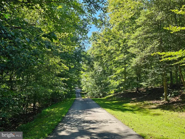 a view of a yard with plants