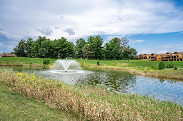 $310,000 | 2011-5 South Czech Avenue, Unit 3005, Arkdale, WI 54613