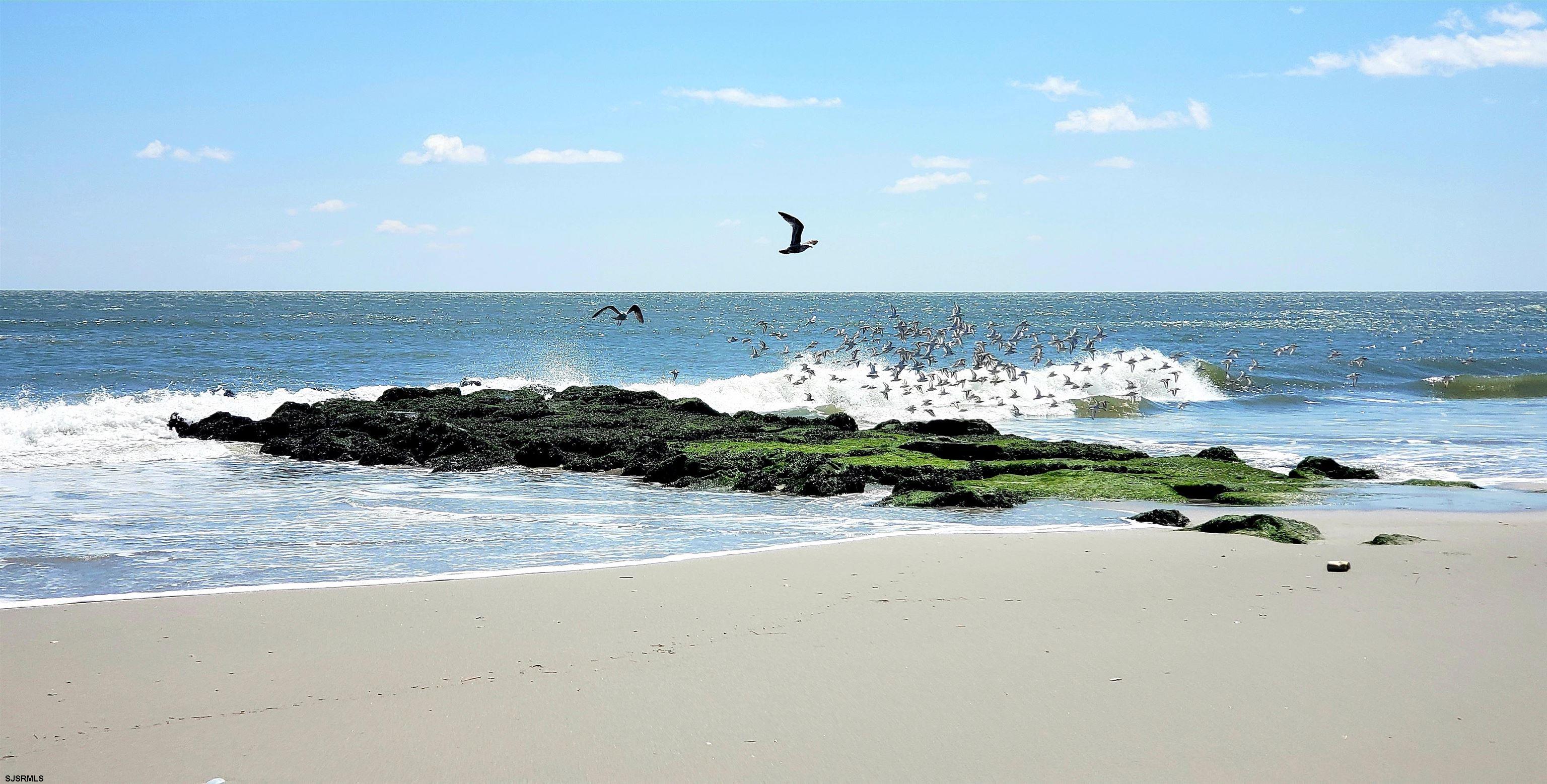 715 Sterling Place Brigantine, NJ 08203 - Photo 33 of 35