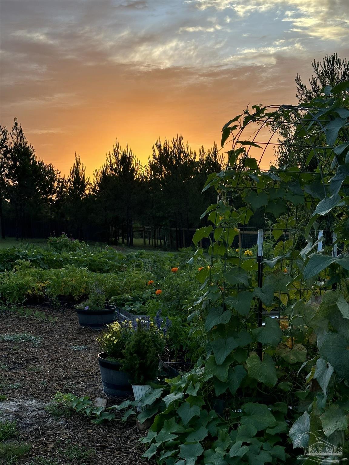 7628 Buffalo Ridge Road Pace, FL 32571 - Photo 43 of 61
