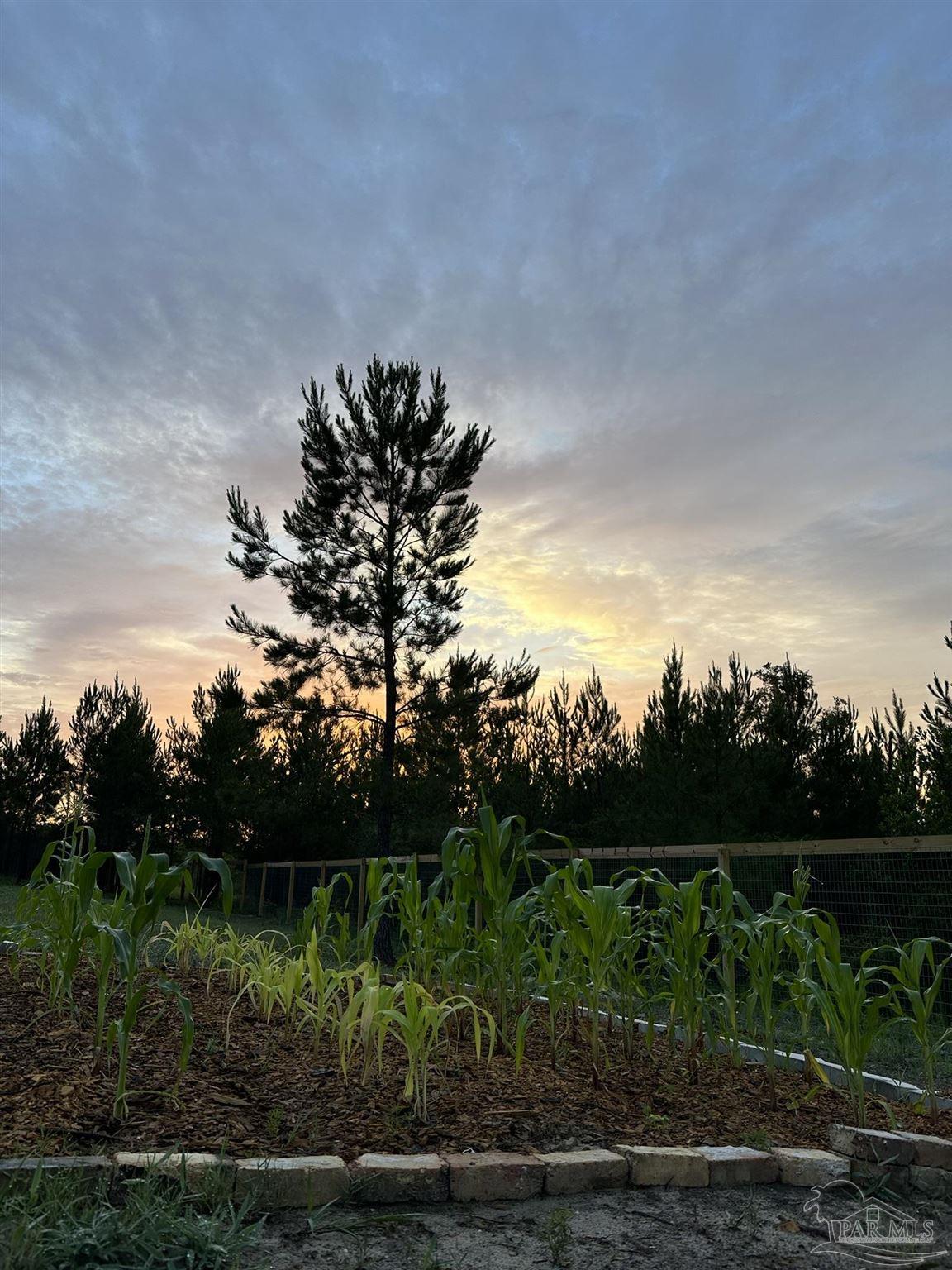 7628 Buffalo Ridge Road Pace, FL 32571 - Photo 44 of 61