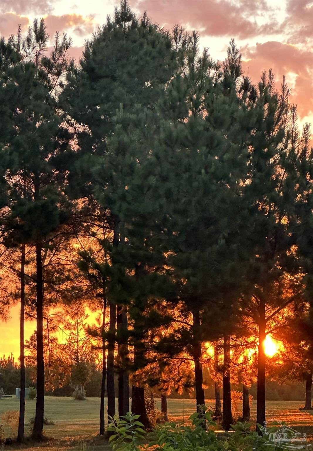 7628 Buffalo Ridge Road Pace, FL 32571 - Photo 49 of 61