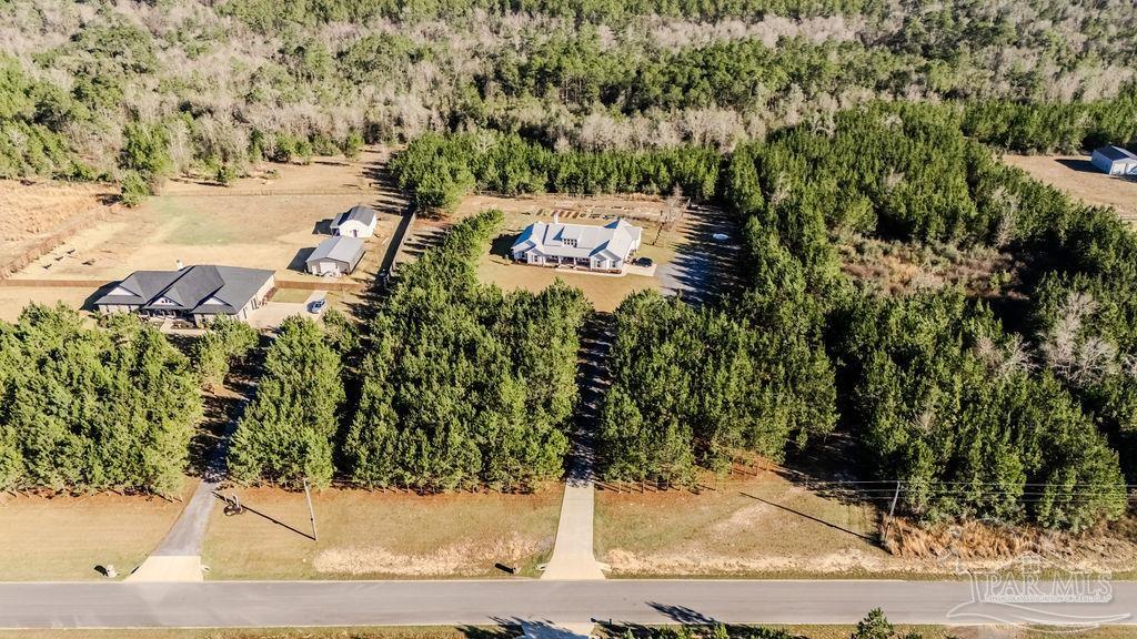 7628 Buffalo Ridge Road Pace, FL 32571 - Photo 54 of 61