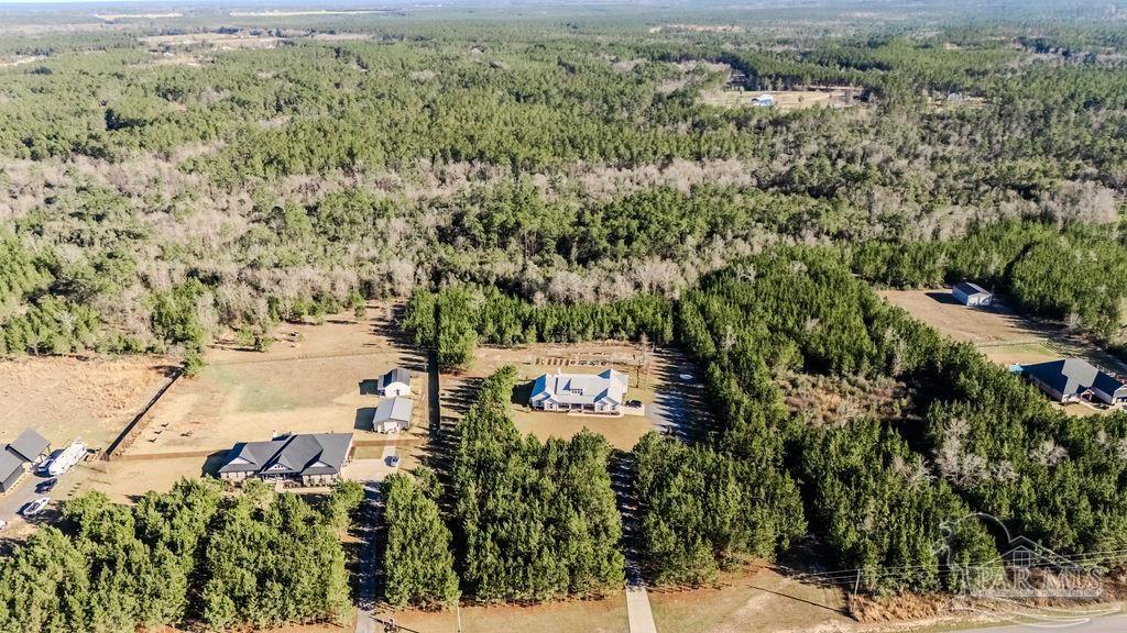 7628 Buffalo Ridge Road Pace, FL 32571 - Photo 55 of 61