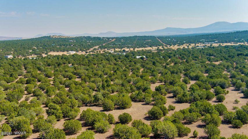 174 Co Road Show Low, AZ 85901 - Photo 11 of 13