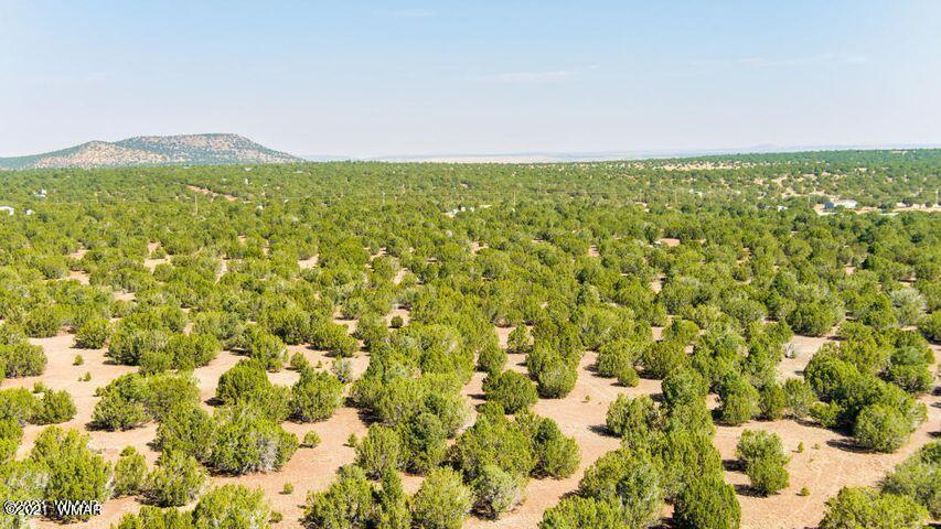 174 Co Road Show Low, AZ 85901 - Photo 12 of 13