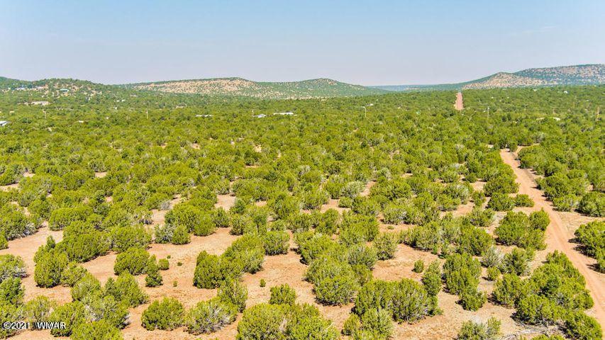 174 Co Road Show Low, AZ 85901 - Photo 13 of 13