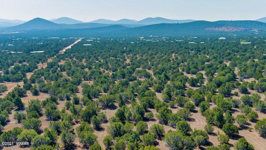 174 Co Road Show Low, AZ 85901 - Photo 2 of 13